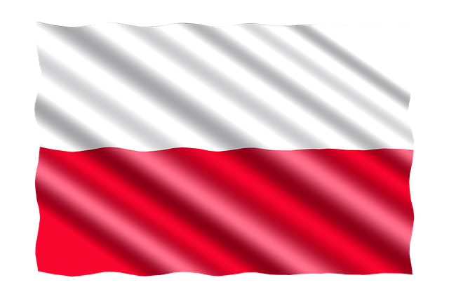 ** Mobilne serwisy rowerowe - Ranking najlepszych w Polsce i jak z nich korzystać - 1 2025